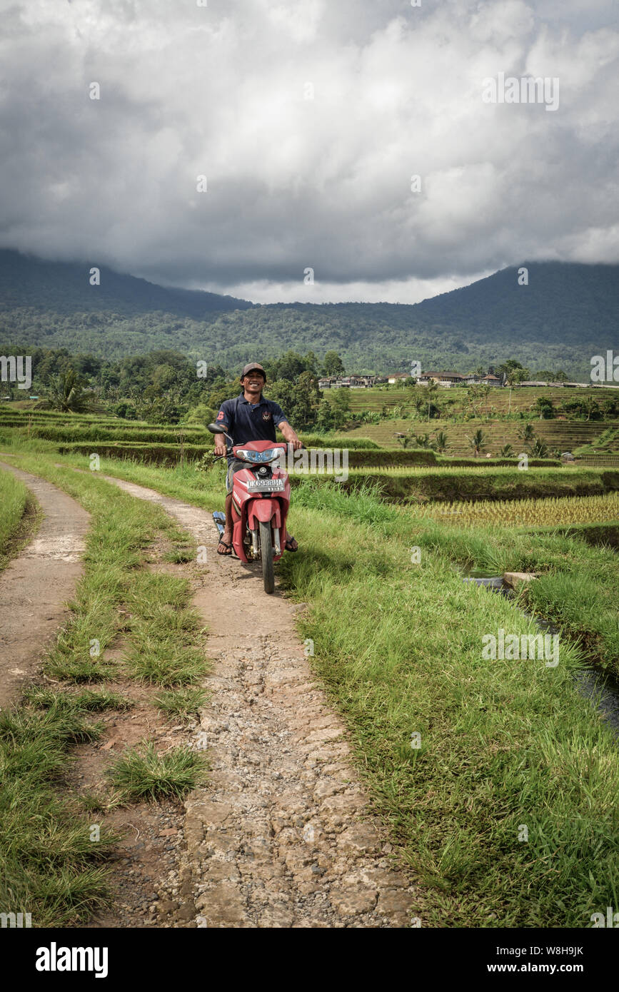 BALI, Indonesia - 9 gennaio 2018: l'uomo con moto sui verdi campi di riso sulla isola di Bali, Jatiluwih nei pressi di Ubud, Indonesia Foto Stock