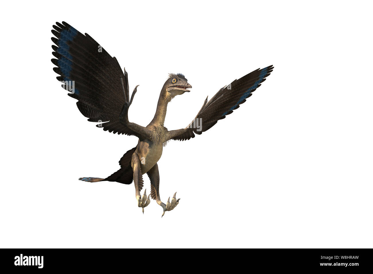 Dinosauro Archaeopteryx contro uno sfondo bianco, illustrazione. Questi uccelli come i dinosauri vivevano circa 150 milioni di anni fa durante il tardo giurassico. Foto Stock
