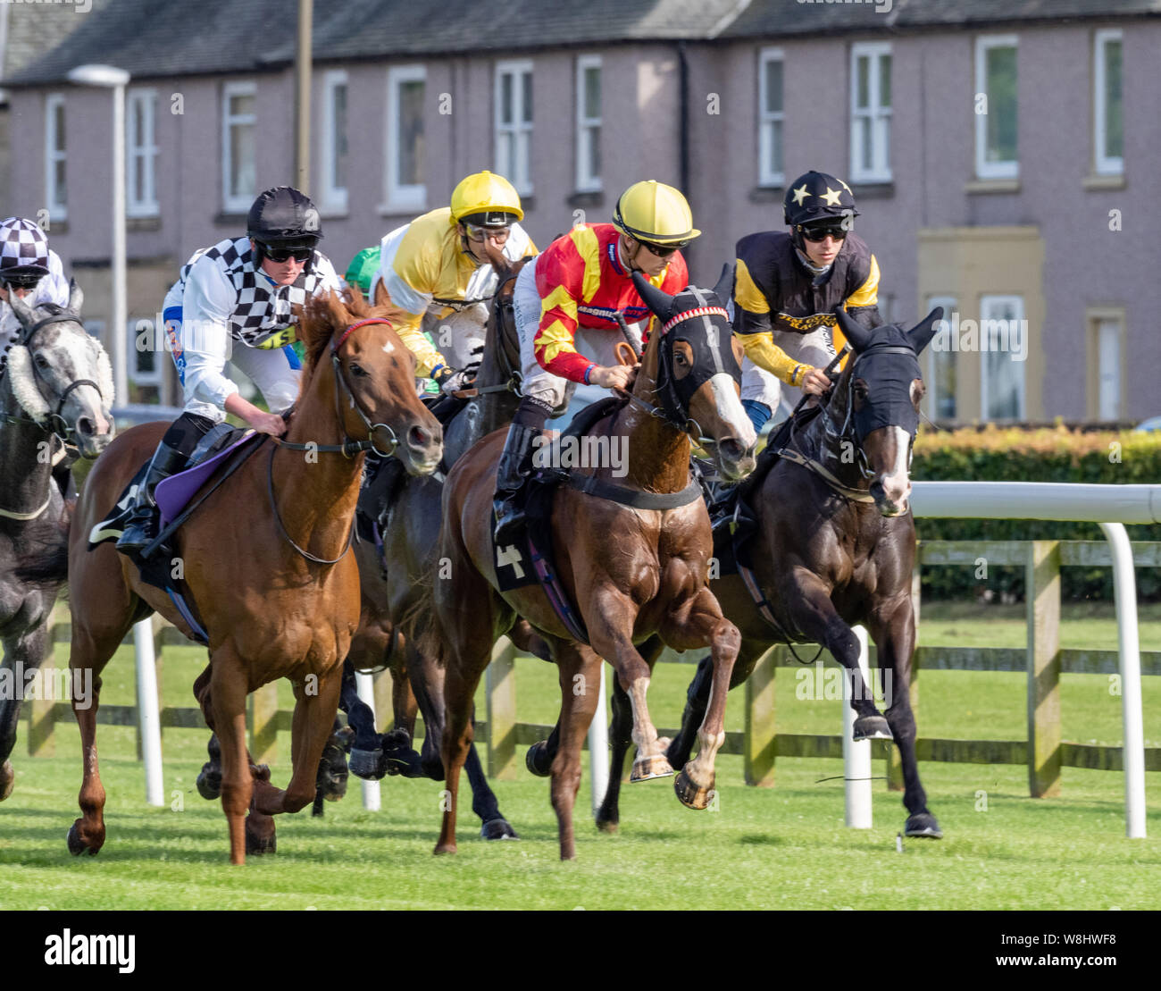 Musselburgh gare - 9 Agosto 2019 - Jockey Harrison Shaw (plain black hat) sulla crisi economica, vincitore del "Boogie al mattino Handicap' Foto Stock