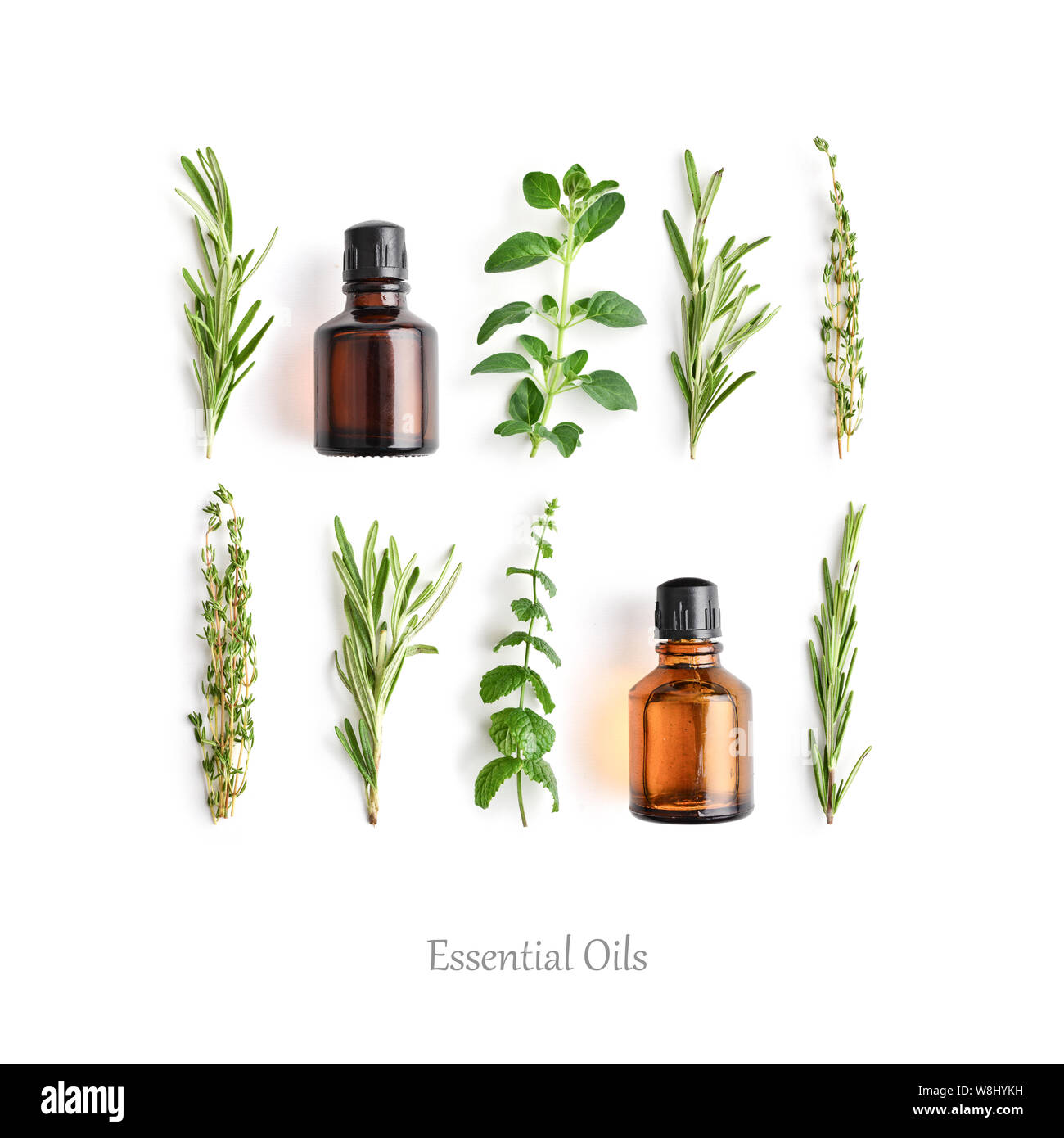 Bottiglie con oli essenziali e le erbe fresche: rosmarino, origano, timo e menta piperita isolati su sfondo bianco. Foto Stock