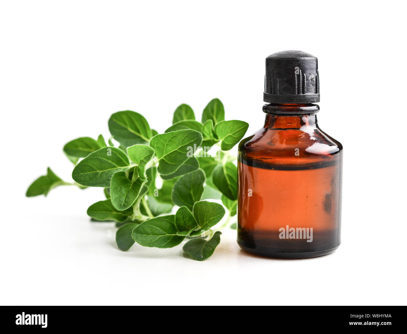 Olio essenziale di origano in bottiglie scure con fresco origano in foglie isolati su sfondo bianco Foto Stock