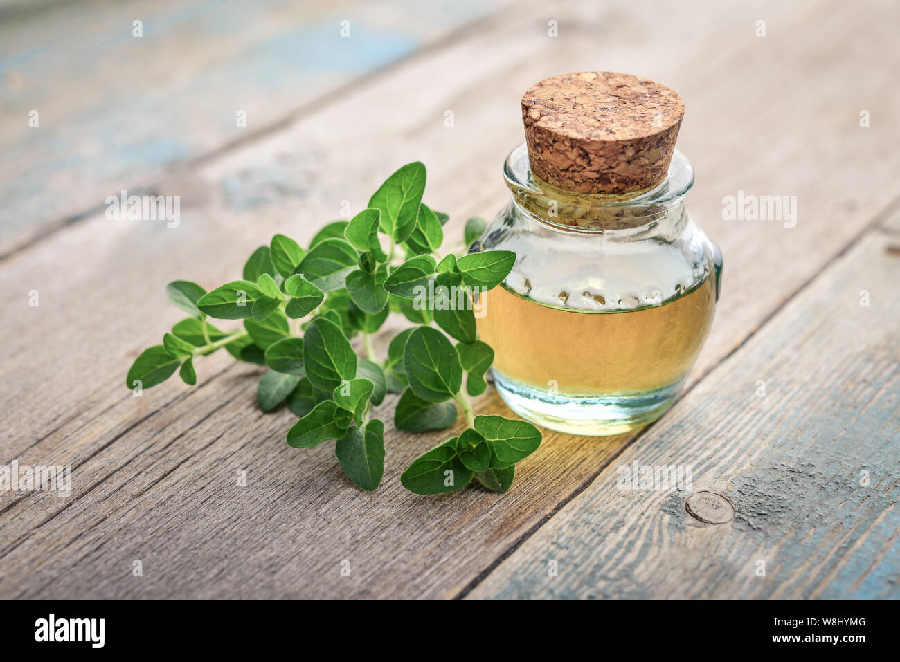 Olio essenziale di origano in bottiglia vintage con fresco origano in foglie su sfondo di legno Foto Stock