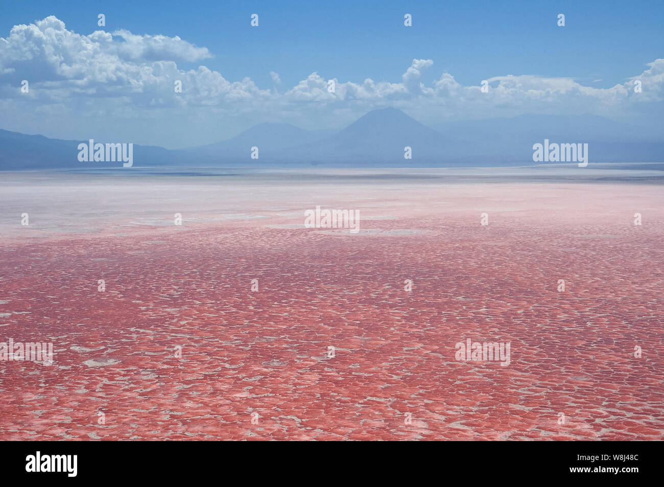 Pigmenti Photosynthesizing del microrganismo cianobatteri trasforma il Lago Natron in straordinari colore rosso (vista aerea) Foto Stock