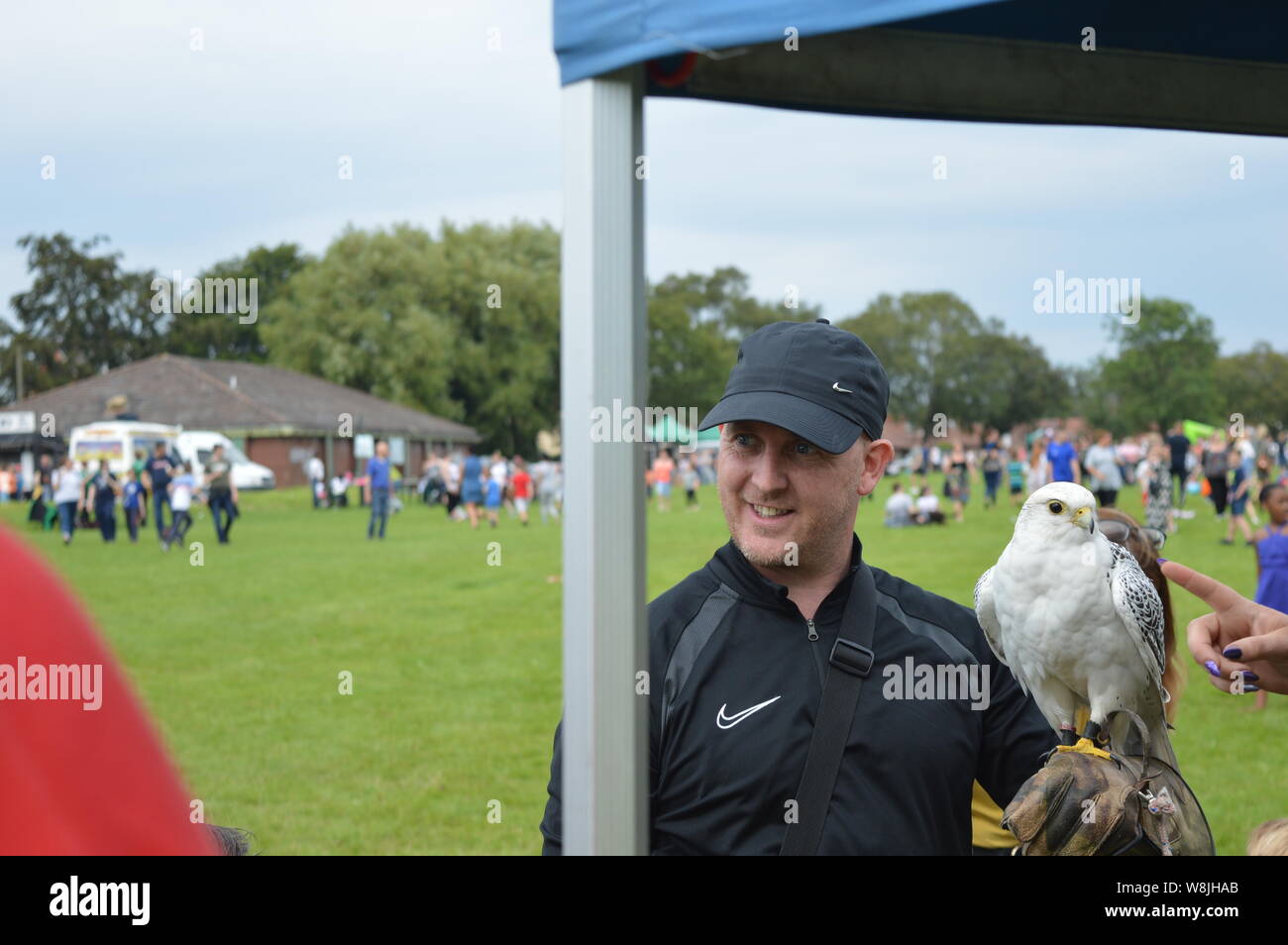 Wild Birds show Owls Eagle UK Inghilterra Foto Stock