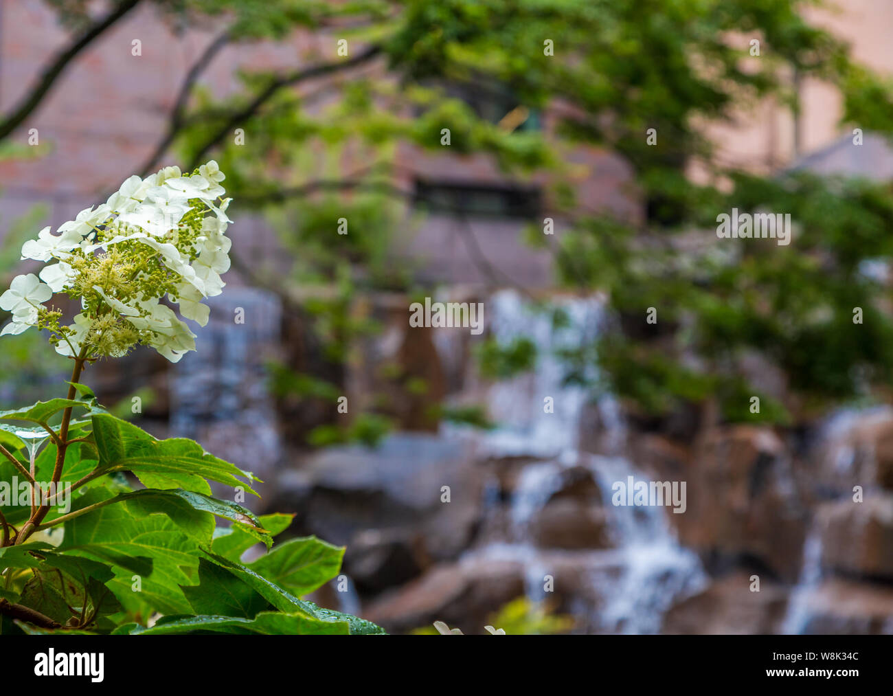 Giardino interno cascata di oltre le pietre di colore marrone Foto Stock