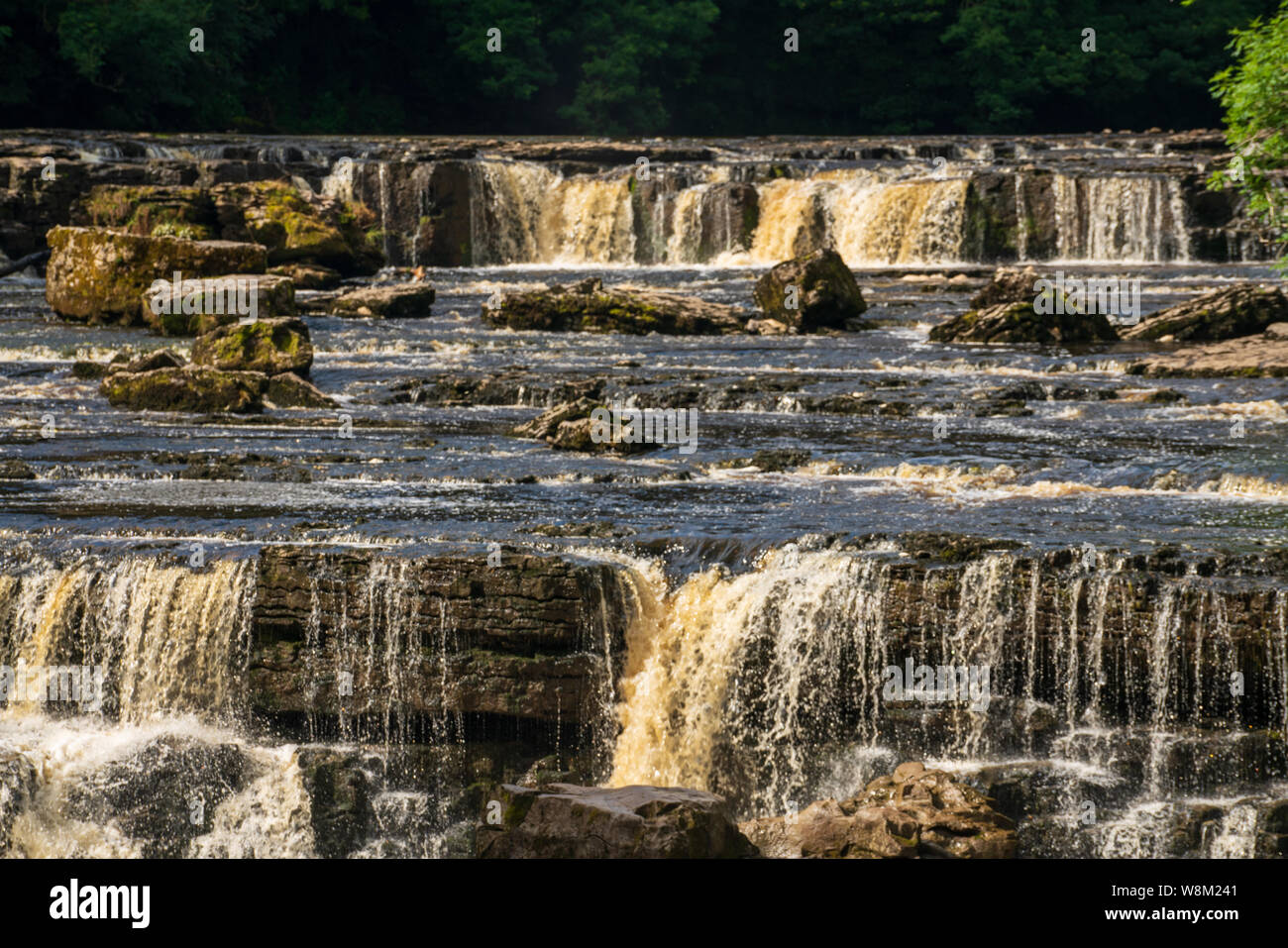 Aysgarth cade nel Yorkshire Dales National Park sono una tripla Fuga di cascate circondata da boschi e terreni agricoli, Foto Stock