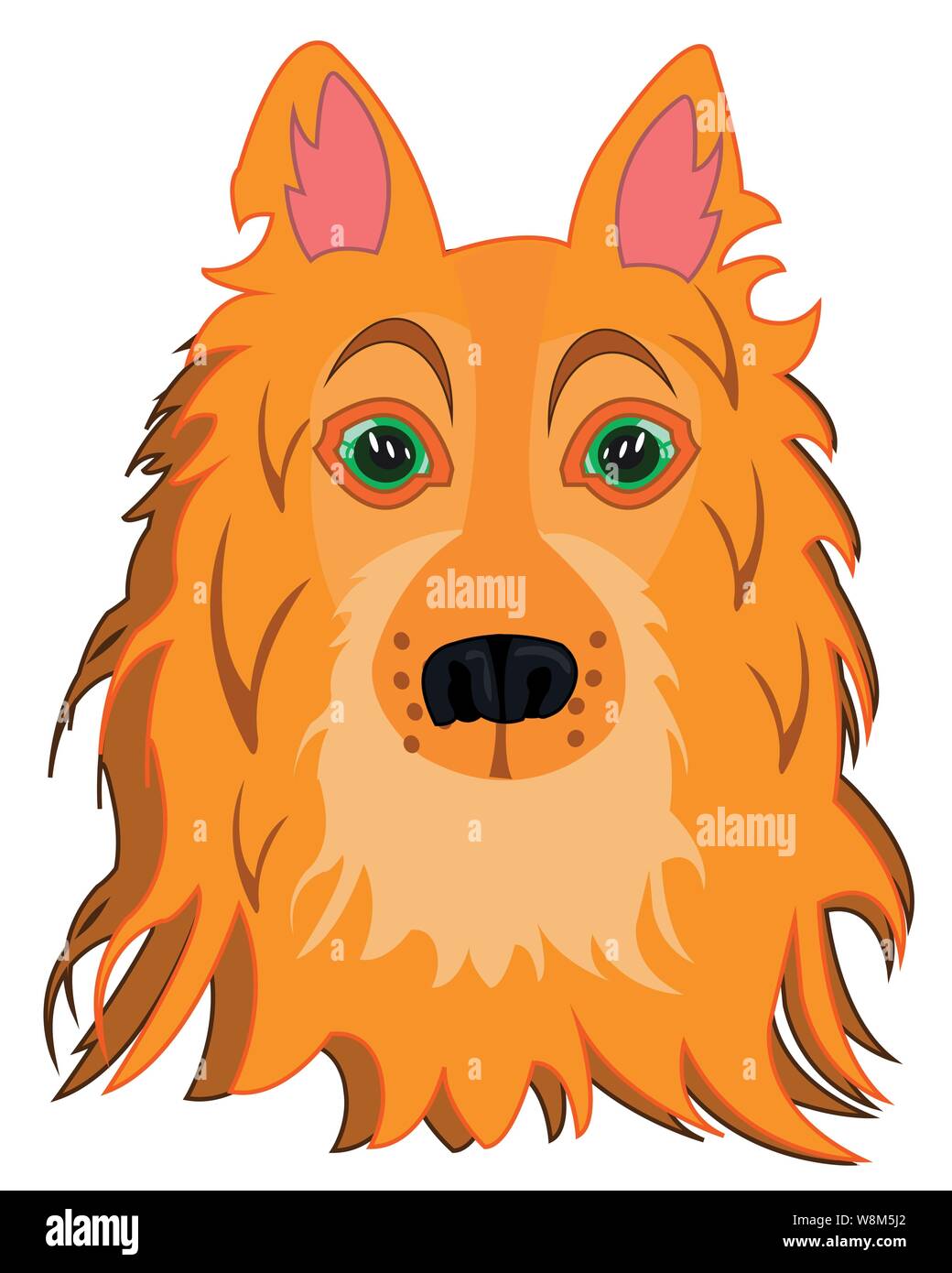 Ritratto del cane collie su sfondo bianco è isolato Illustrazione Vettoriale
