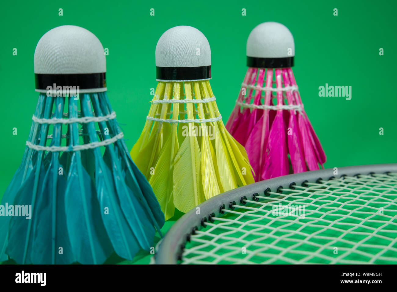 Racchette da badminton e colorata feathered volani in blu, giallo e rosa su sfondo verde in una vista ravvicinata Foto Stock