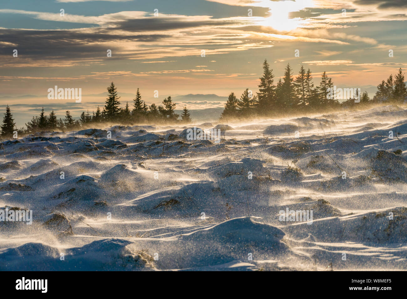 Fantastico paesaggio invernale - incredibile paesaggio congelato in cima a una montagna in Bulgaria - colori vivaci, incontaminata natura pittoresca - suggestiva composizione Foto Stock