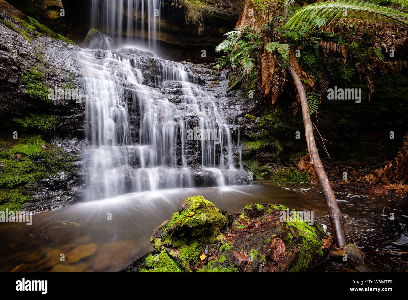La cascata nel bosco della Tasmania, Tasman National Park, Australia Foto Stock