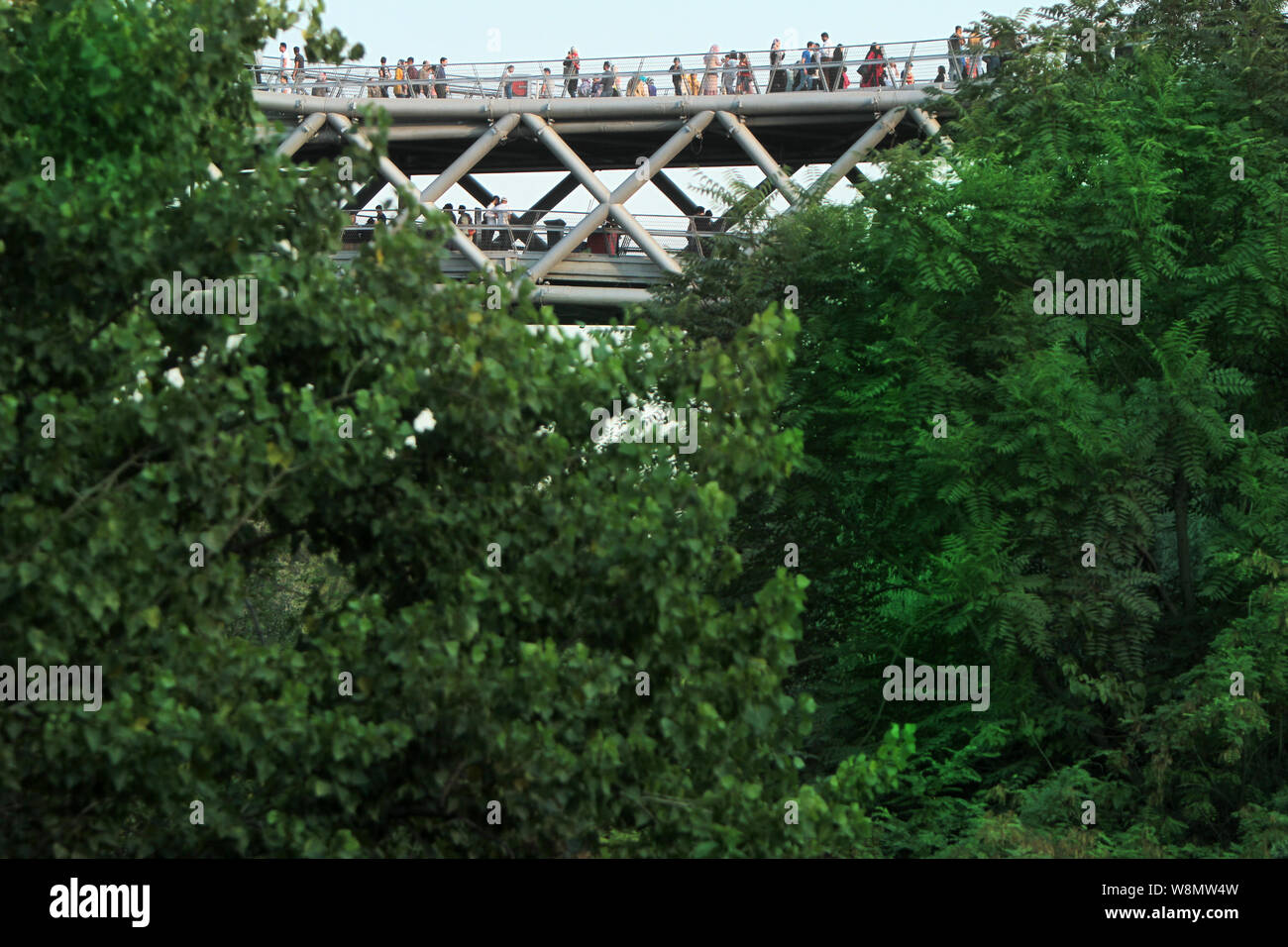 Il dei Tabi"a ponte è la più grande del cavalcavia pedonali Tehran, Iran. Il 270-metro ponte collega due parchi pubblici - Taleghani Park e Parco Abo-Atash Foto Stock