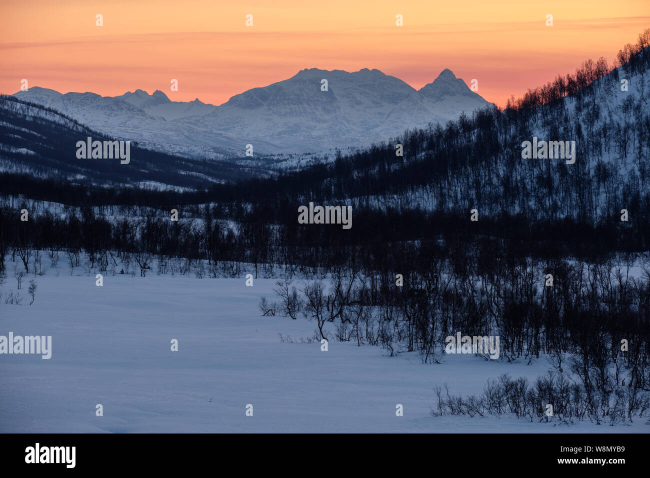 Colorato tramonto in inverno sulle montagne e sulla foresta Senja, Norvegia Foto Stock