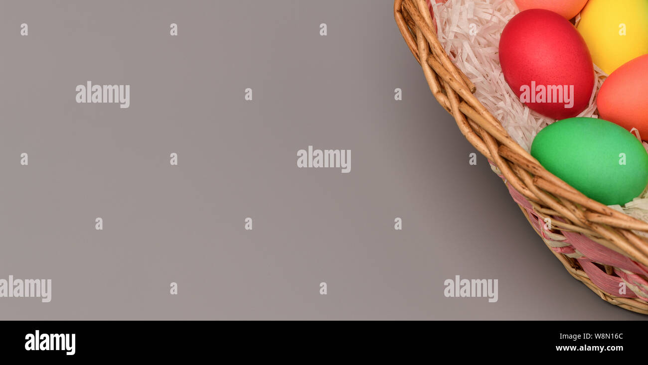 Banner. Su uno sfondo grigio a destra si trova un cesto con uova di Pasqua colorate, a sinistra uno spazio vuoto per l'iscrizione. Orizzontale Foto Stock