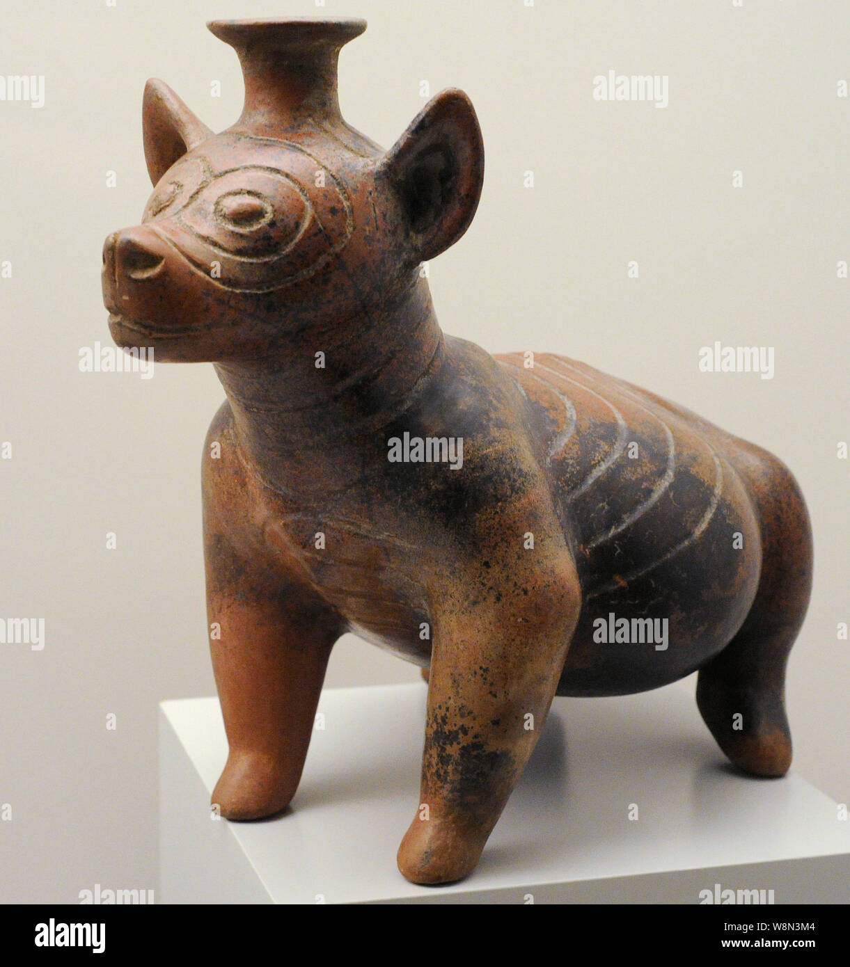 Cane vaso sagomato. Ceramica. Colima. Early-Middle periodo classico (100-700 AD). Messico occidentale. Museo dell'America. Madrid, Spagna. Foto Stock