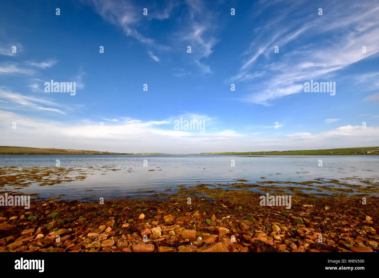 "Ruff" St. Margaret's speranza guardando fuori attraverso il suono dell'acqua. Foto Stock