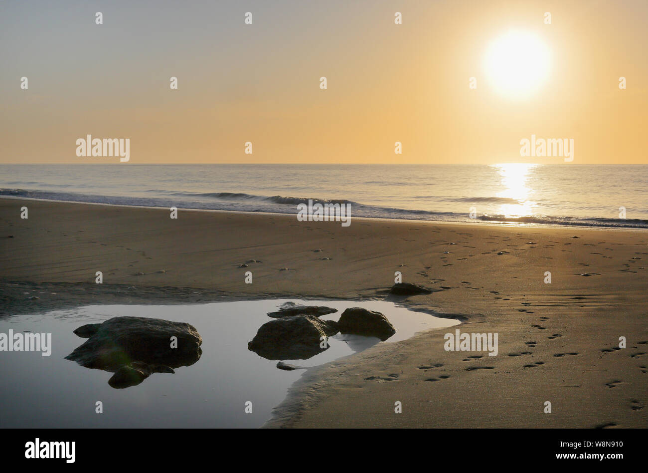 La mattina presto all'estremità sud di Tybee Island Beach con una roccia in uno stagno Foto Stock
