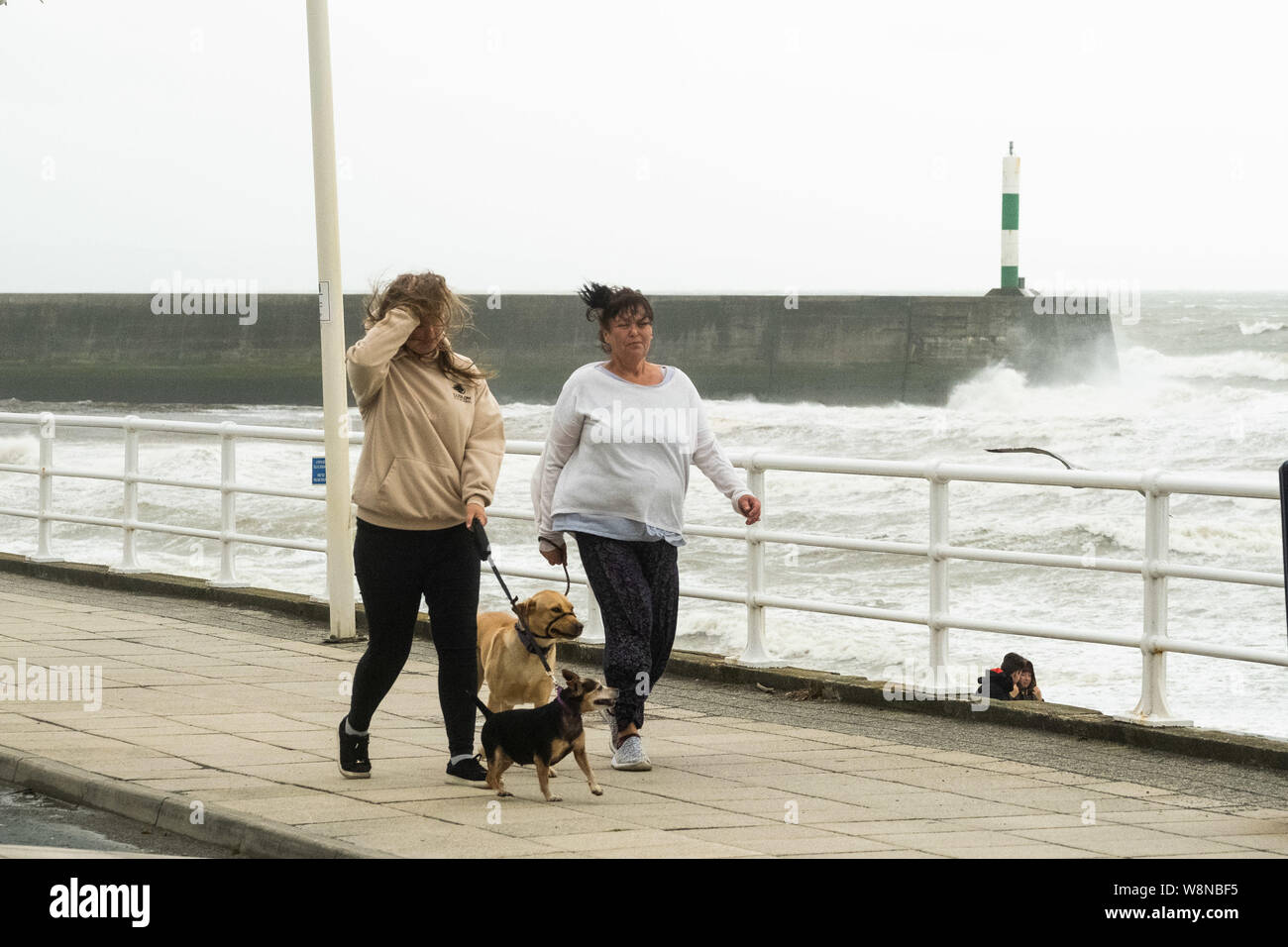 10 ago 2019 Aberystwyth Wales UK. Regno Unito: Meteo gale force vento con raffiche fino a oltre 50km/h e il mare in tempesta pastella il faro del porto, e rende la vita difficile per i pedoni in Aberystwyth come unseasonably bagnato e ventoso spazia su gran parte dell'ovest del Regno Unito , portando gravi perturbazioni per viaggiare e forzare la cancellazione di molti eventi all'esterno. Credito foto Keith Morris/Alamy Live News Foto Stock
