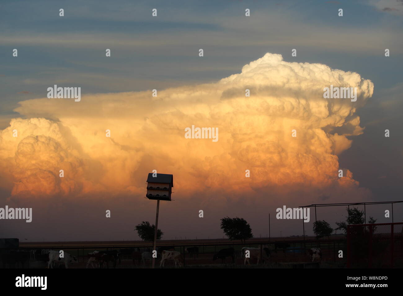 Temporale ad ovest del Texas Foto Stock