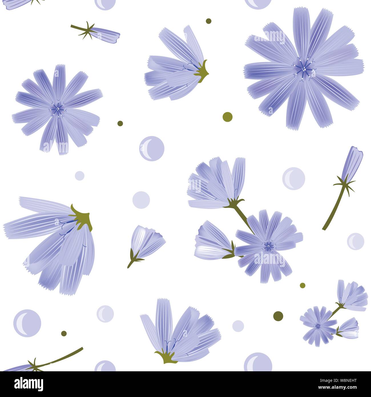 Floral seamless pattern con fiori di cicoria su sfondo bianco. Graziosi fiori blu. Elemento di design per i tessili, tessuti, scrapbooking, sfondi Illustrazione Vettoriale