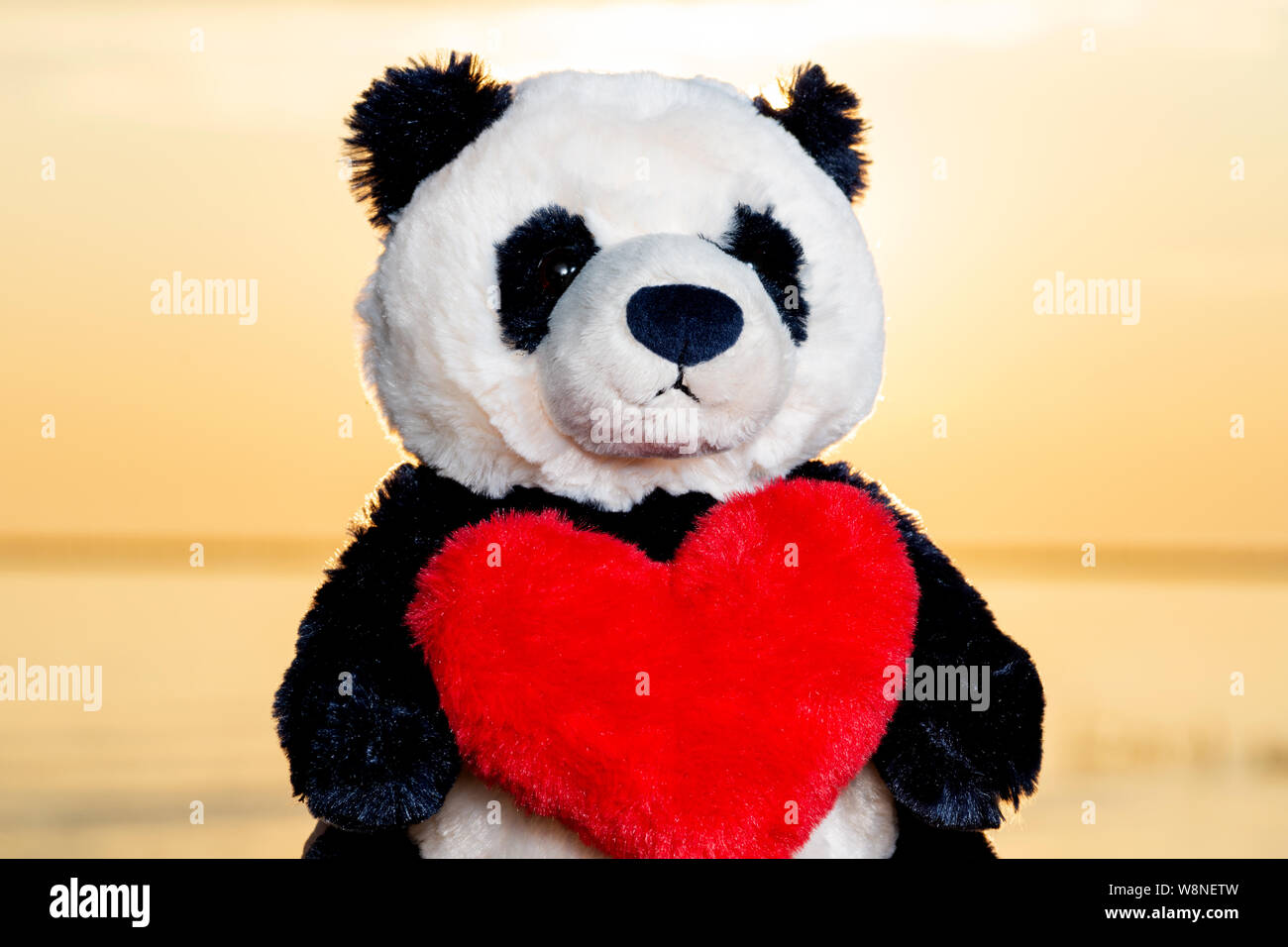 Orso Panda farcite giocattolo di peluche rosso con cuore soffice all alba di fronte al lago. Amore romanticismo e concetto di amicizia Foto stock Alamy