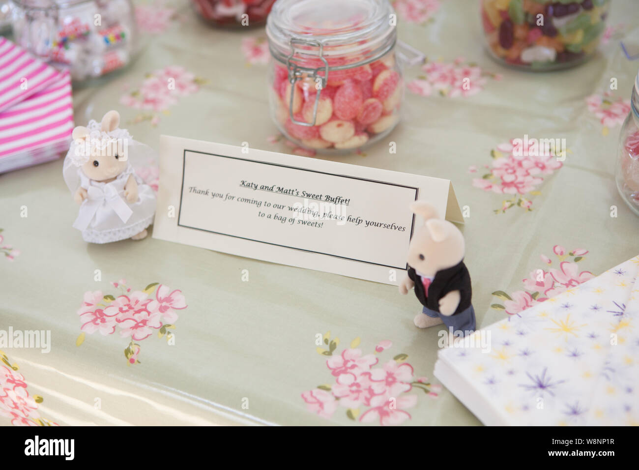 Sposa E Lo Sposo Di Sylvania Conigli Di Famiglia Foto Stock Alamy