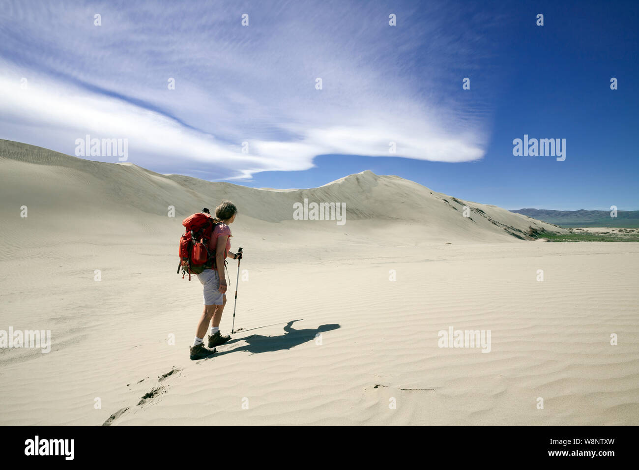 WA17208-00...WASHINGTON - escursionista nella duna di sabbia in Hanford raggiungono monumento nazionale. Foto Stock
