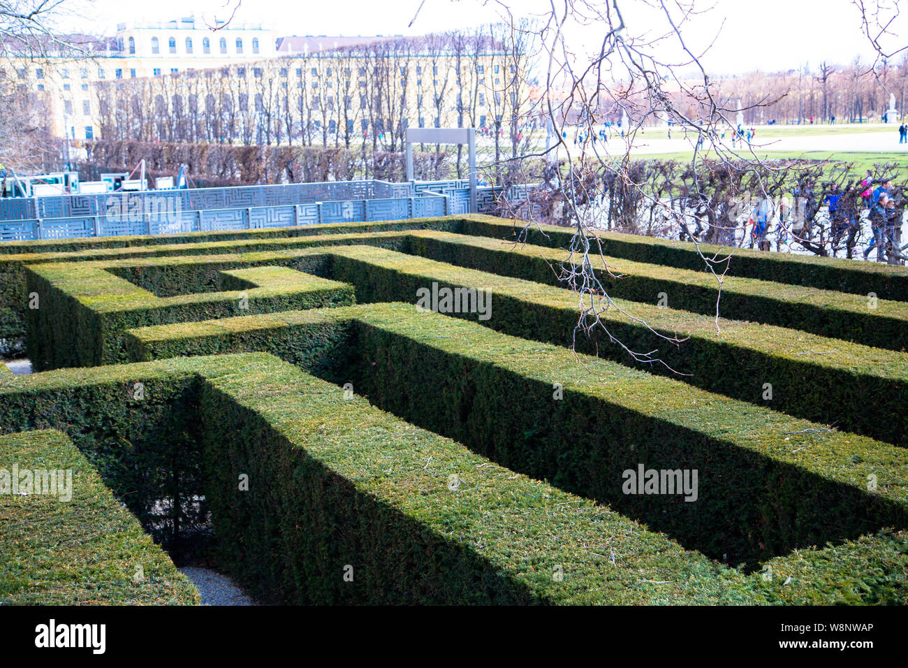 Labirinto verde in boccole schoenbrun piante Foto Stock