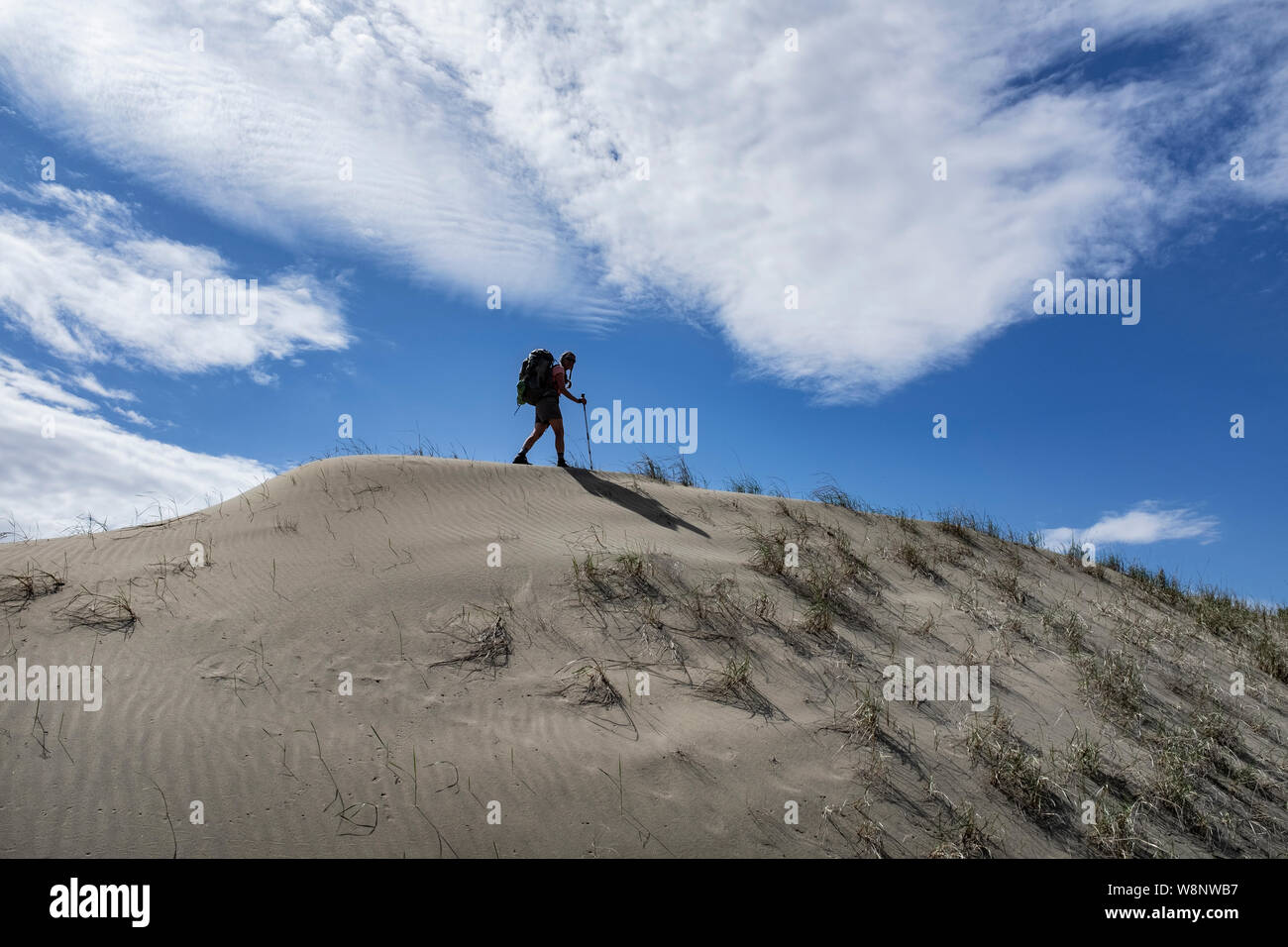 WA17242-00...WASHINGTON - escursionista in Dune di ginepro deserto. Signor# S1 Foto Stock