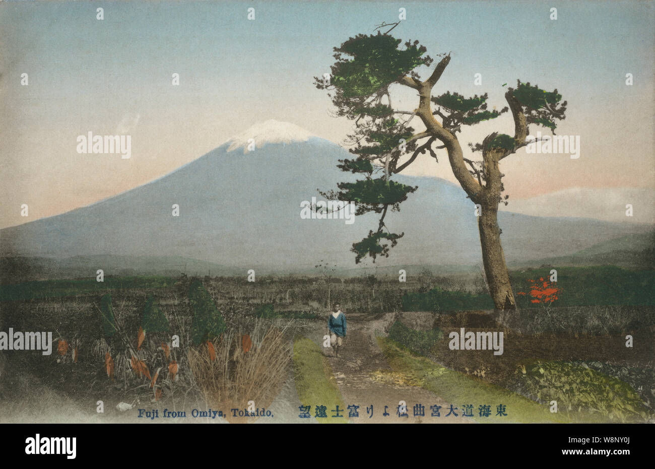 [ 1910s Giappone - Monte Fuji ] - Monte Fuji come si vede dalla zona nei pressi della città di Omiya (noto anche come Fujinomiya) nella Prefettura di Shizuoka. Omiya è stata una città posta sulla strada principale tra Suruga e Kai provincia (noto anche come Koshu). Nel 1860 (Mannei 1), il console britannico Sir Rutherford Alcock (1809-1897), il primo britannico rappresentante diplomatico in Giappone, ha fatto la prima scalata del Monte Fuji da un non-giapponese da qui. Testo originale: 東海道大宮曲松より富士遠望 novecento cartolina vintage. Foto Stock