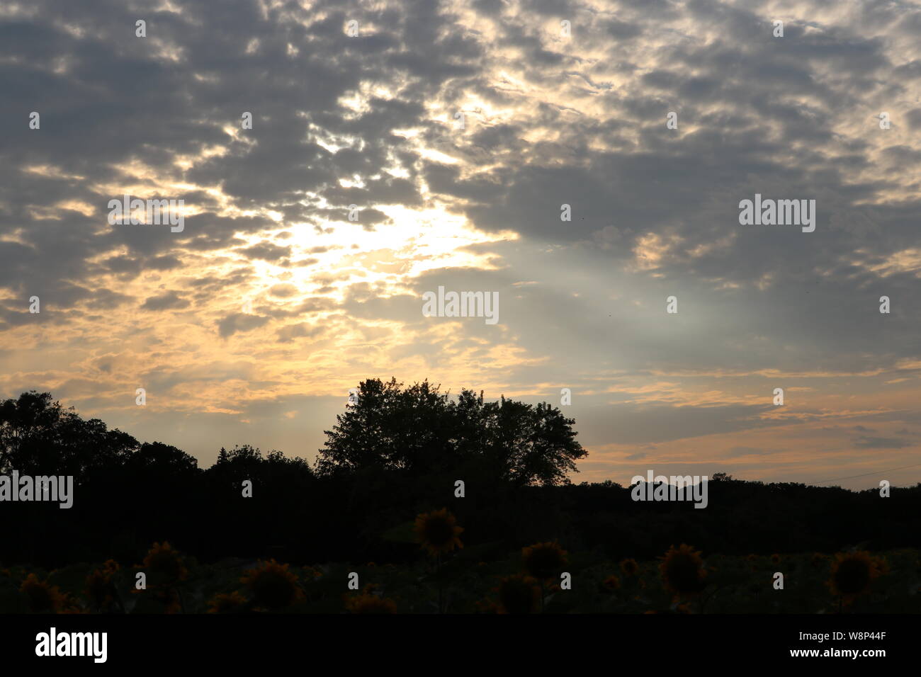 Tramonto nuvoloso Foto Stock
