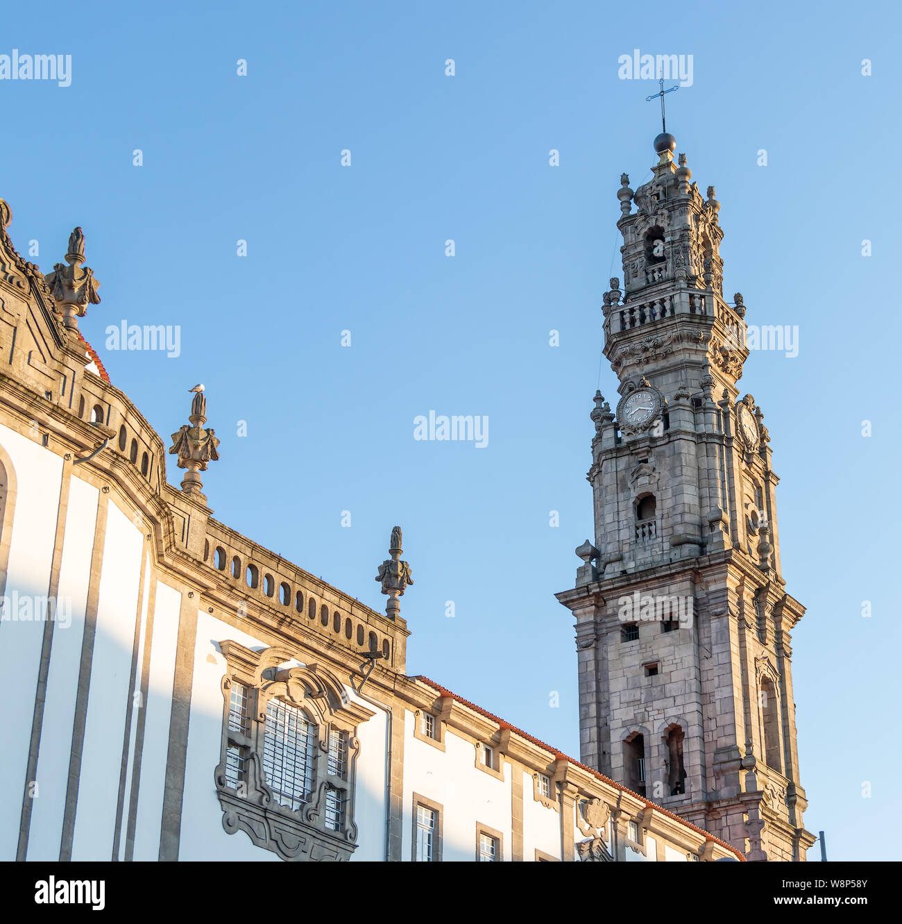 Vista della bella chiesa barocca di Clerigos (Igreja dos Clerigos, in portoghese) e iconica Torre Clerigos, uno dei punti di riferimento e i simboli di O Foto Stock