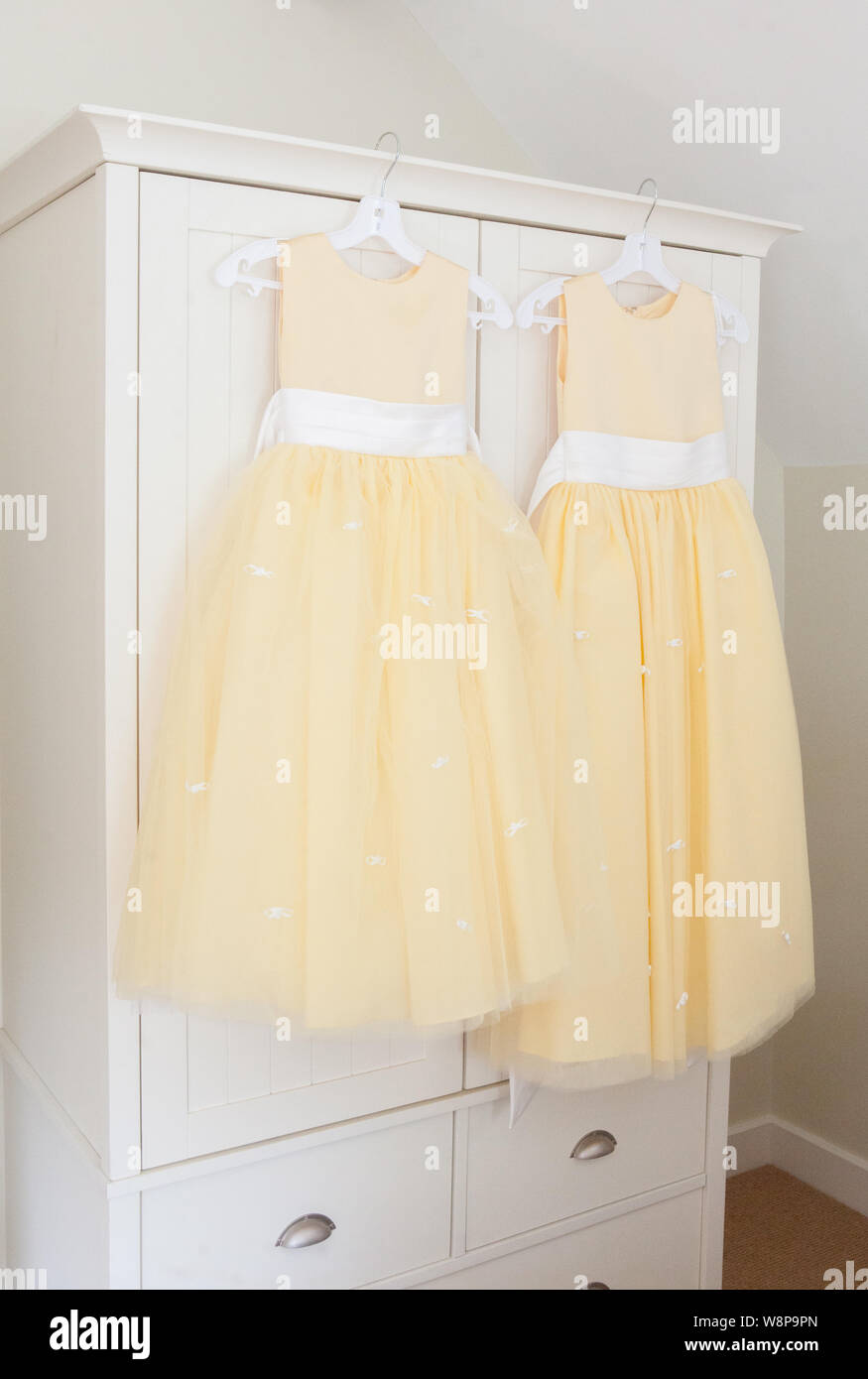 Organza di limone damigella abiti di bianco con infissi in raso. Foto Stock