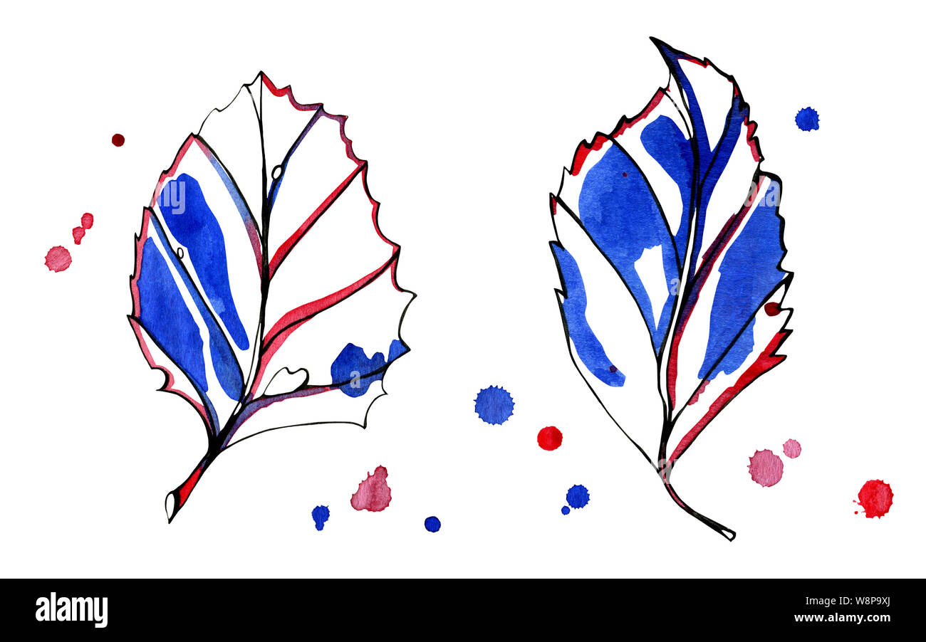 Due acquerello grafica stilizzata Foglie di autunno. Dipinti a mano con nero, blu e rosso dell'inchiostro con le prime gocce di colore sullo sfondo. Oggetti isolati su Foto Stock