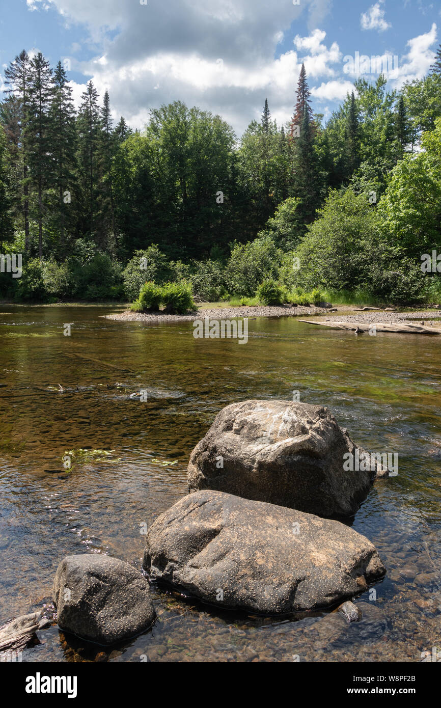 Avvolgimento del fiume attraverso la foresta sempreverde di Algonquin Park in Ontario in estate Foto Stock