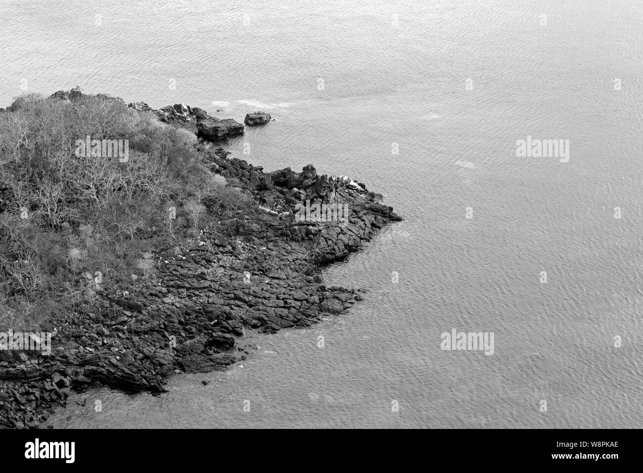 Isole Galapagos beach Foto Stock