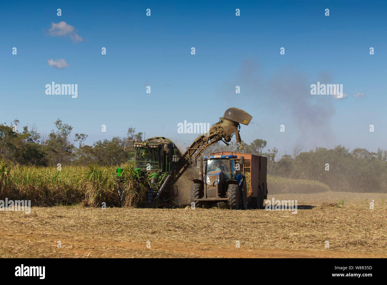 La raccolta meccanica di canna da zucchero raccolto cresciuto in ricco rosso terreni di origine vulcanica nei pressi di Childers Queensland Australia Foto Stock