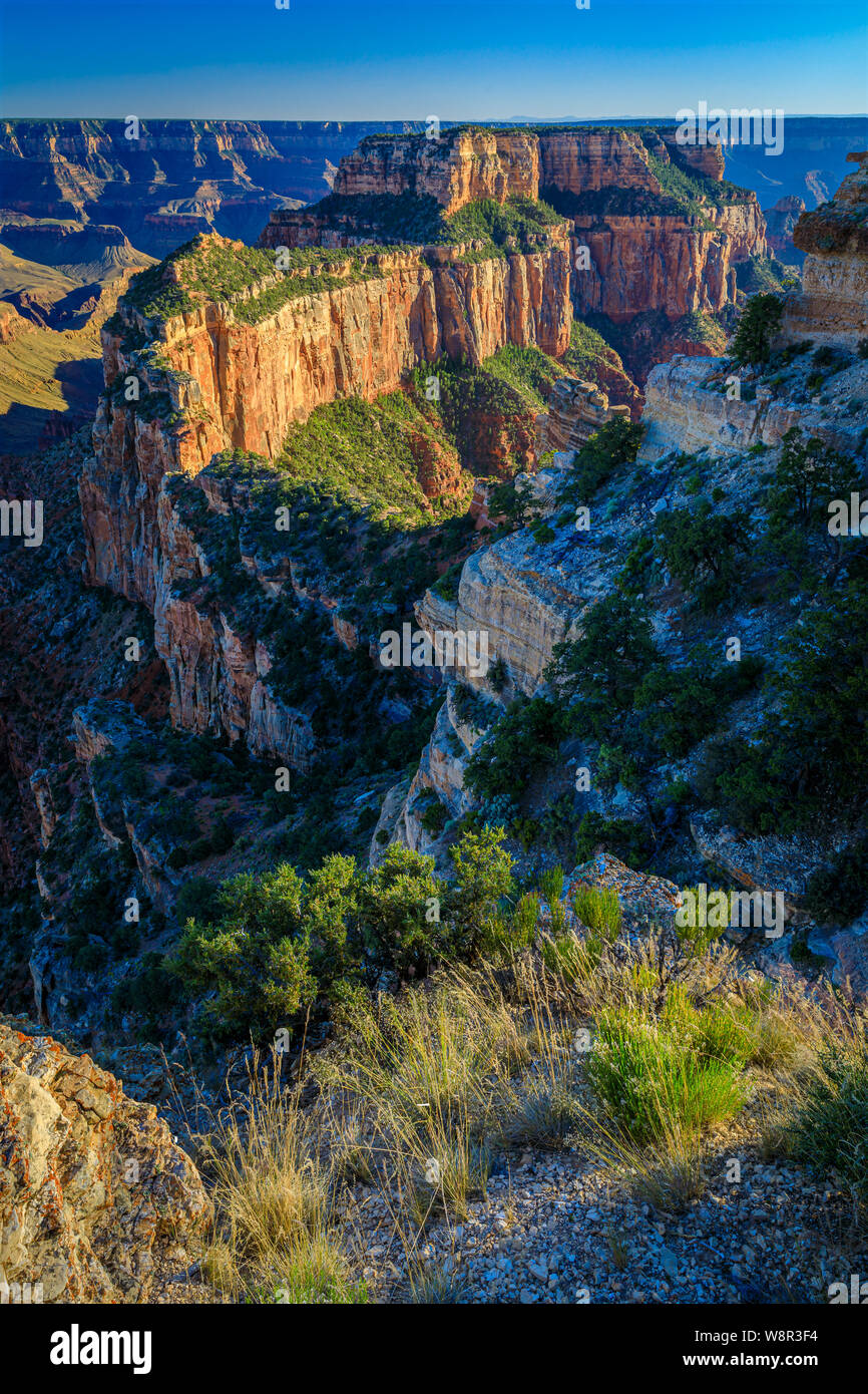 Tramonto a Capo Royal sul bordo Nord del Parco Nazionale del Grand Canyon, Arizona Foto Stock