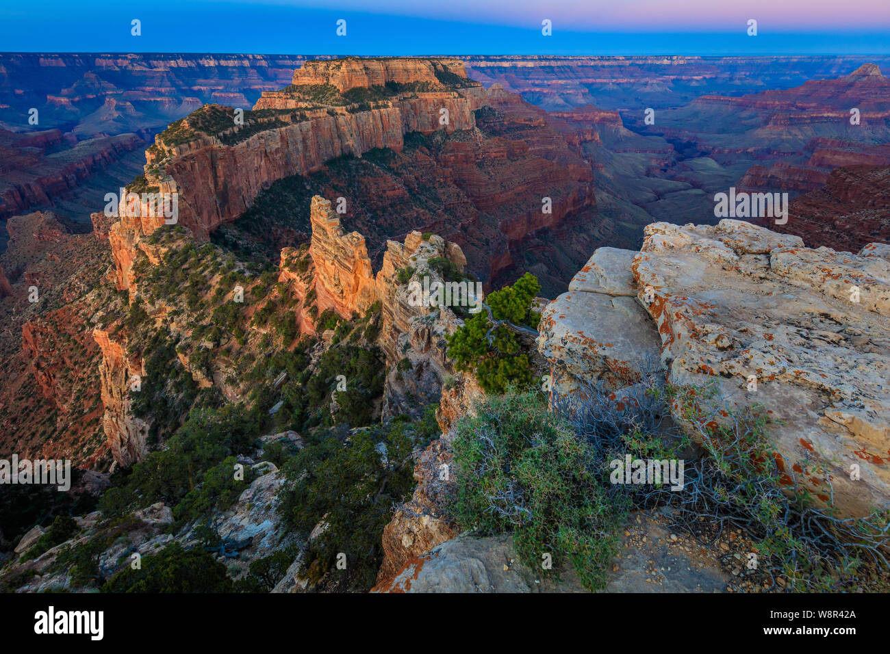 Sunrise a Cape Royal sul bordo Nord del Parco Nazionale del Grand Canyon, Arizona Foto Stock