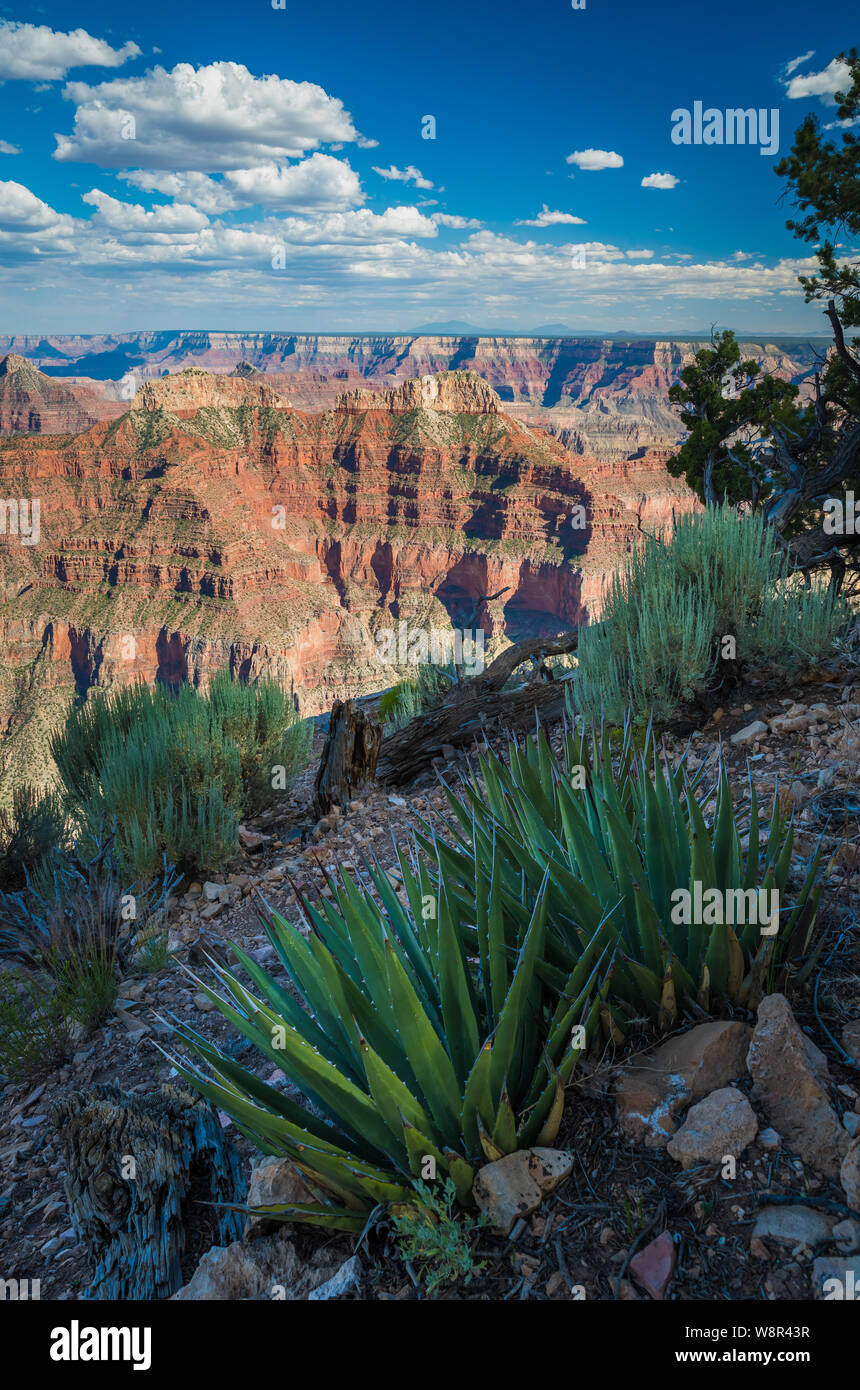 Punto Sublime sul bordo Nord del Parco Nazionale del Grand Canyon in Arizona, Stati Uniti Foto Stock