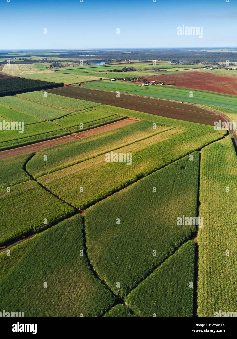 Antenna della red terreni di origine vulcanica di eliminato Farmland ora cresce la canna da zucchero nei pressi di Childers Queensland Australia Foto Stock