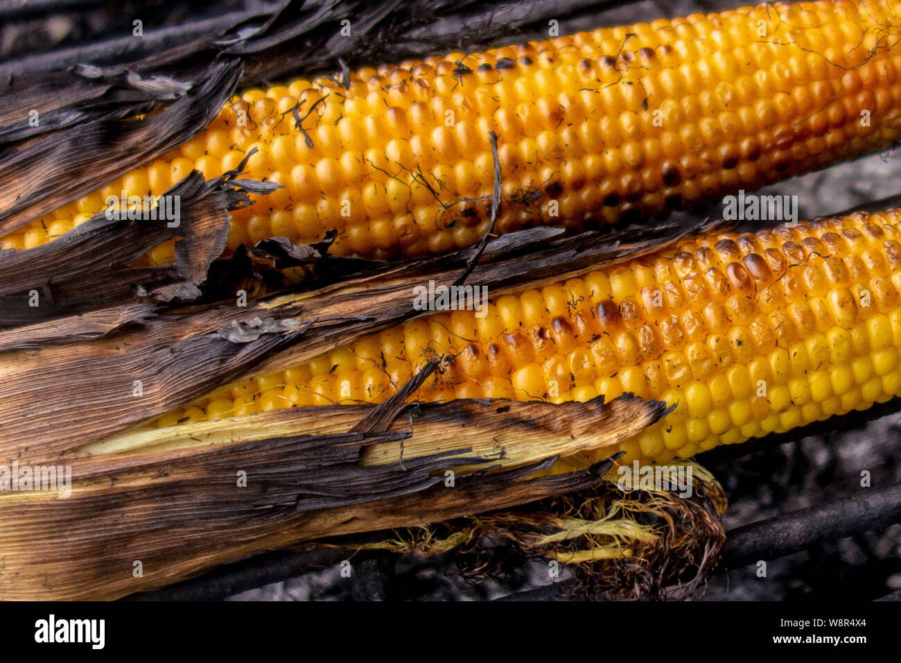 Tutoli di mais grill. Il mais verdure vengono fritti o al forno a fuoco  aperto. Cucina barbecue party chiudere l'immagine. La cottura sulla griglia  Foto stock - Alamy