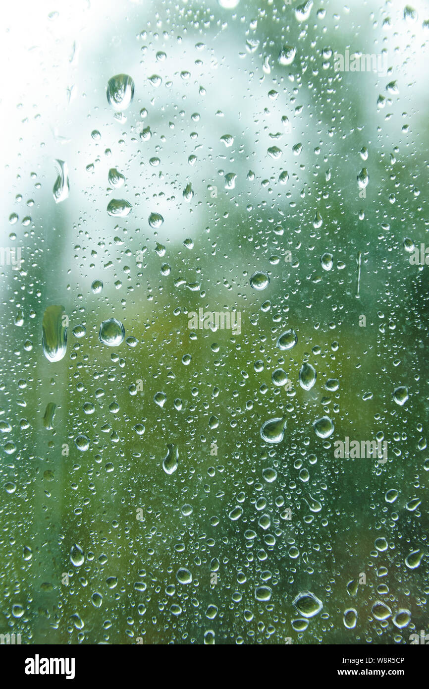 Vista da finestra sulla molla Rainy day. Bella vista sul verde dim delinea la natura sullo sfondo. Gocce d'acqua sul vetro con bordi sfocati. La pioggia caduta sul vento Foto Stock