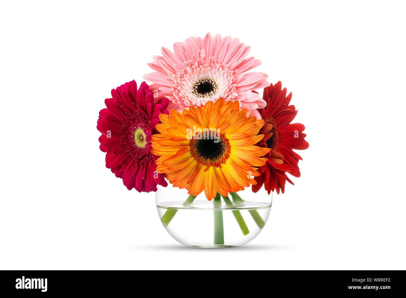 Mazzo di fiori colorati fiori gerber nel round vaso di vetro, isolato su bianco. Foto Stock