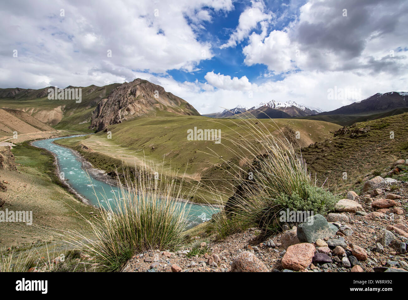 Vista del fiume che scorre tra il verde delle colline con erba e pietre in primo piano il Kirghizistan. Tien Shan Foto Stock