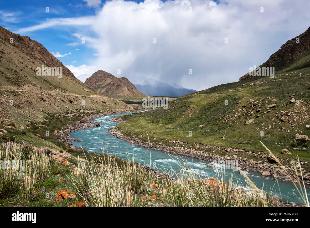 Vista del fiume che scorre tra il verde delle colline con erba e pietre in primo piano il Kirghizistan. Tien Shan Foto Stock