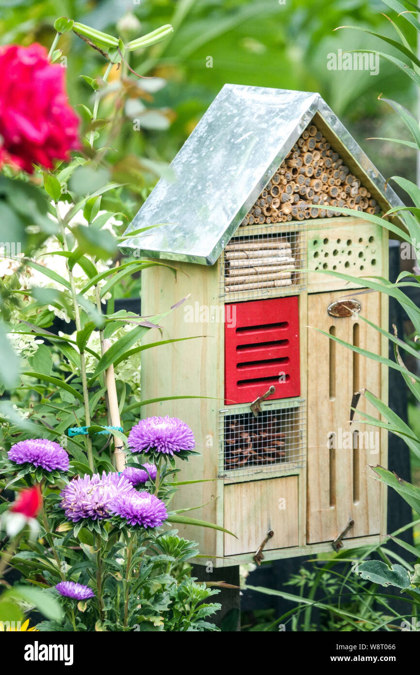Giardino bug e ape hotel per insetti benefici, tra fiori, l'astro, rosa Foto Stock