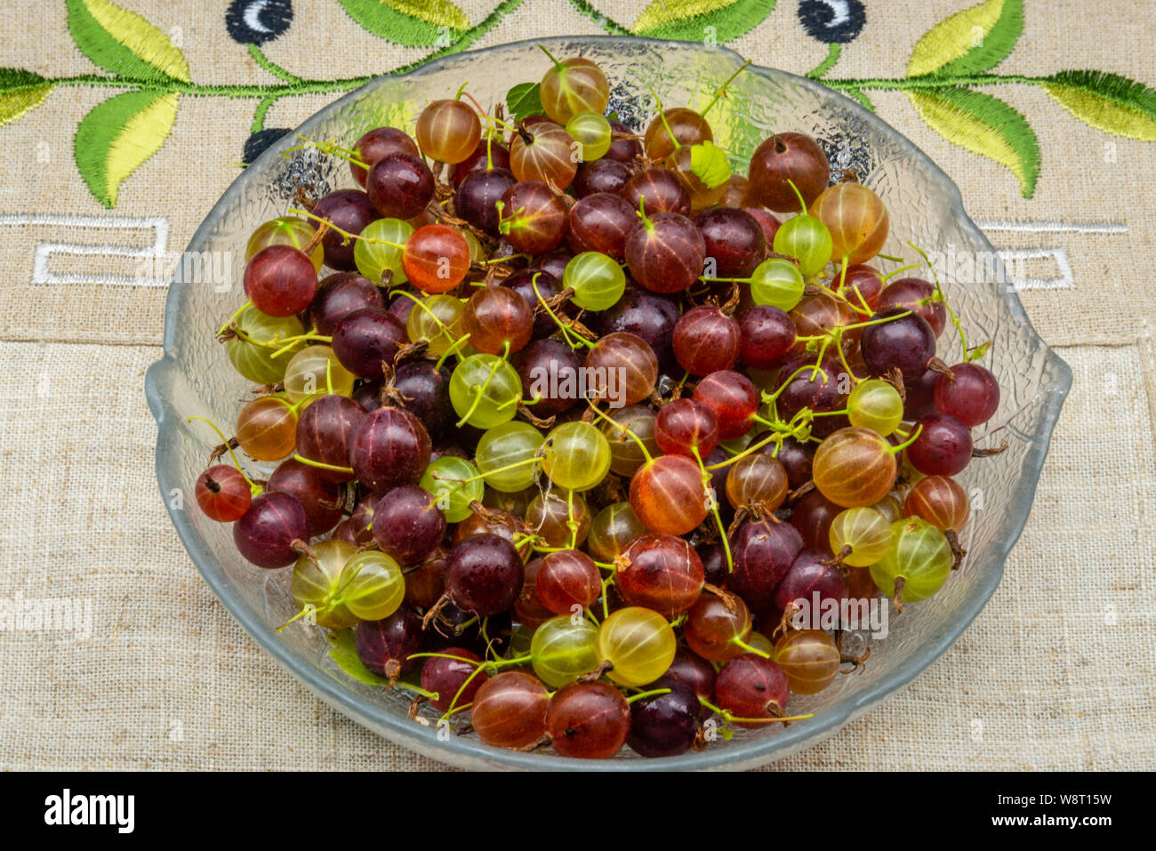 Il rosso e il verde uva spina. Vista ravvicinata della parte organica uva spina Foto Stock