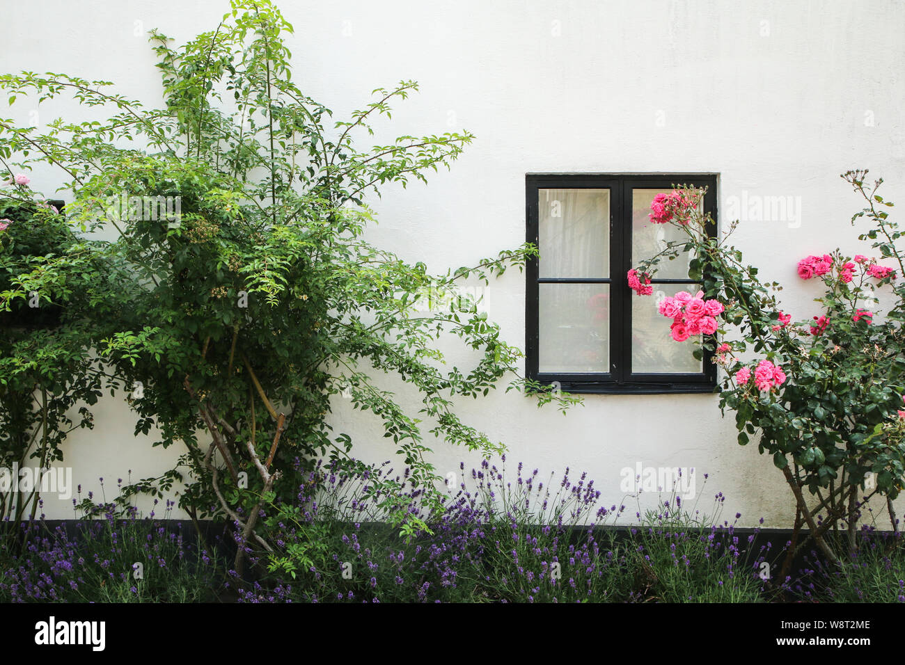 Il dettaglio di una parte della facciata della casa scandinava. La bella fiori sono in piedi di fronte a casa. Foto Stock