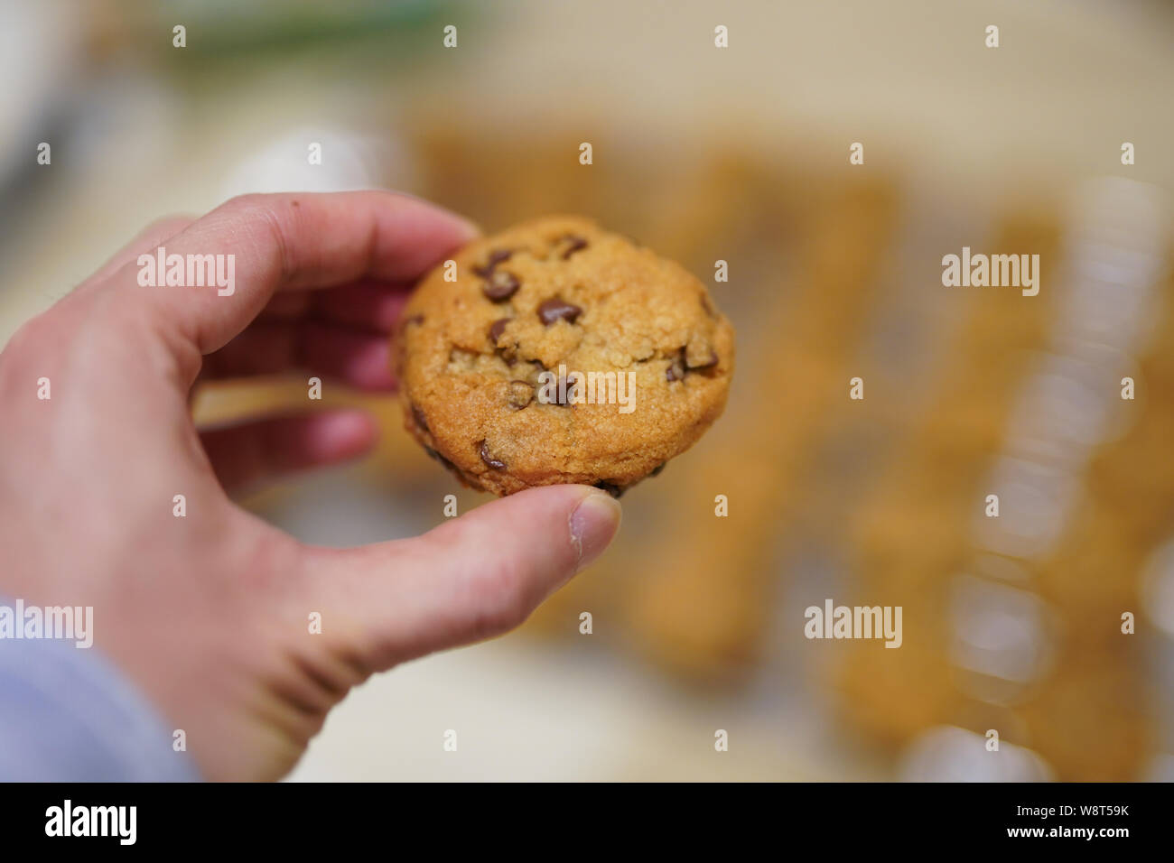 Mano che tiene un chocolate chip cookie con i cookie sfocata in background Foto Stock