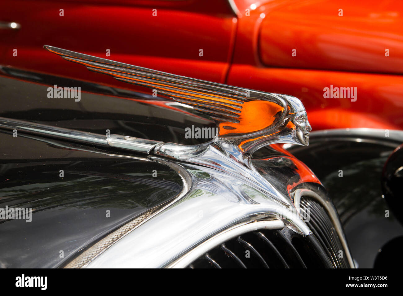 Ornamento del cofano di una Citroen 15 CV Avant trazione dal1952, Germania. Kuehlerfigur eines Citroen 15 CV Avant trazione von 1952, Deutschland. Foto Stock